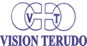 Vision logo
